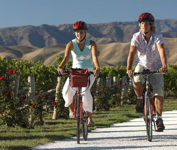 explore marlborough tours